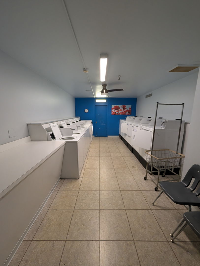 Gallery Image 8