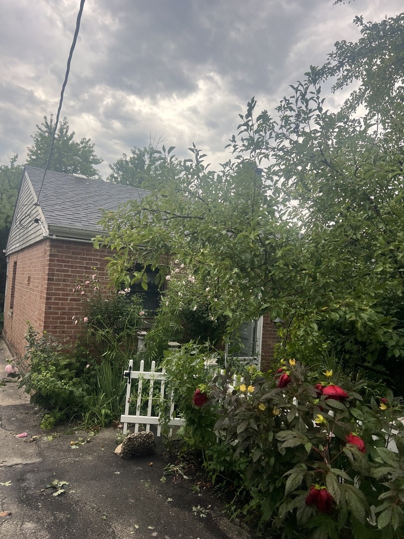 Gallery Image 21
