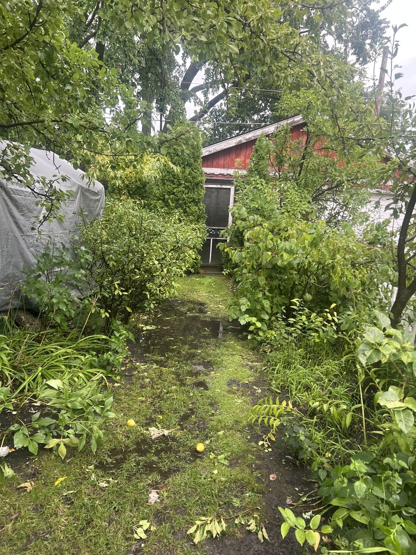 Gallery Image 20
