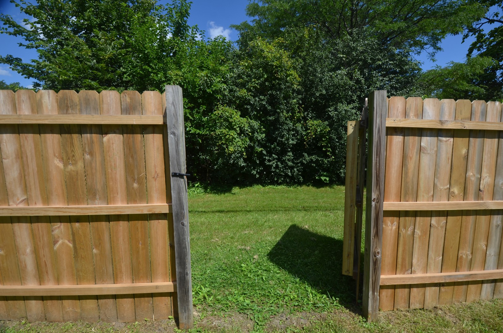 Gallery Image 15