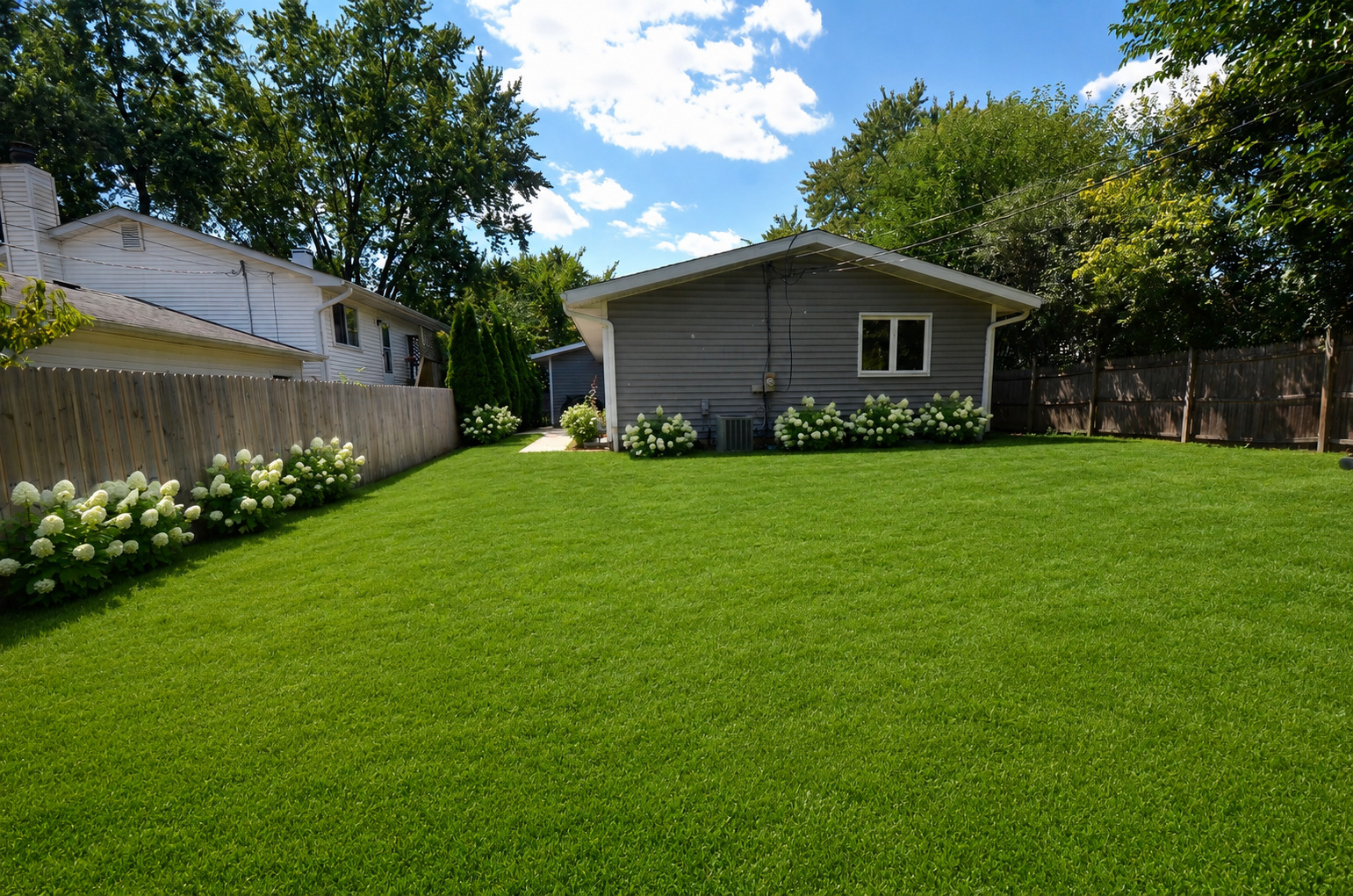 Gallery Image 14
