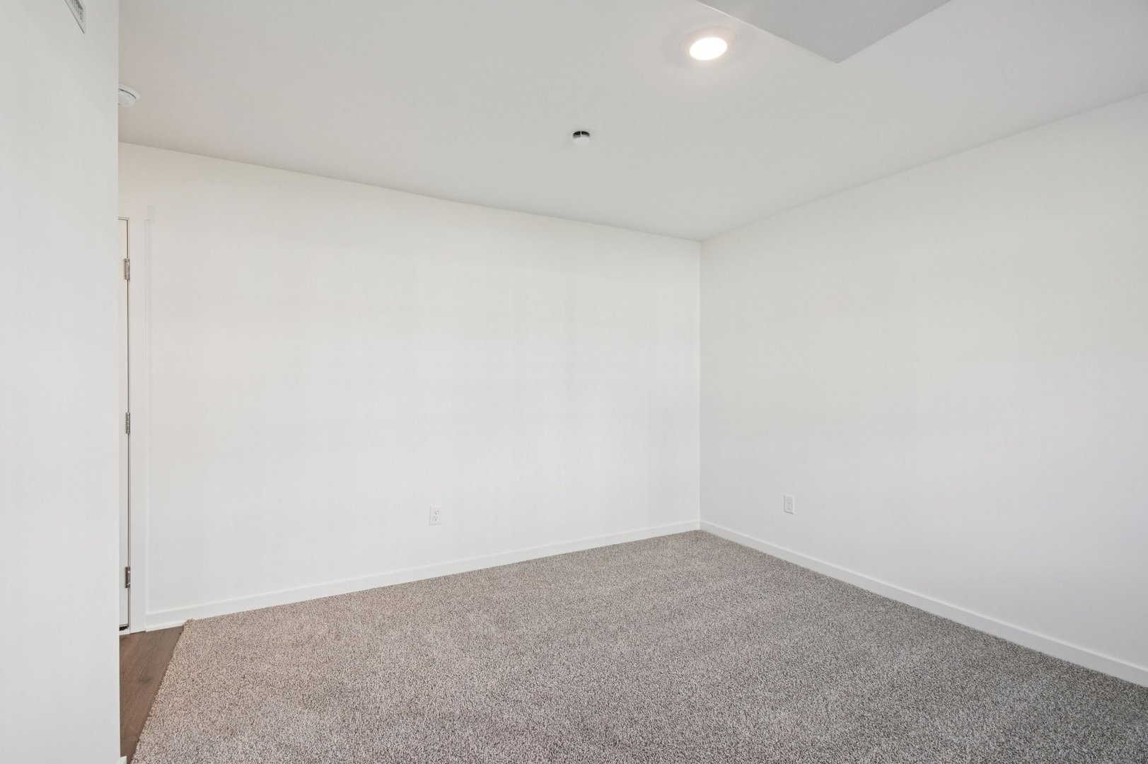 Gallery Image 38