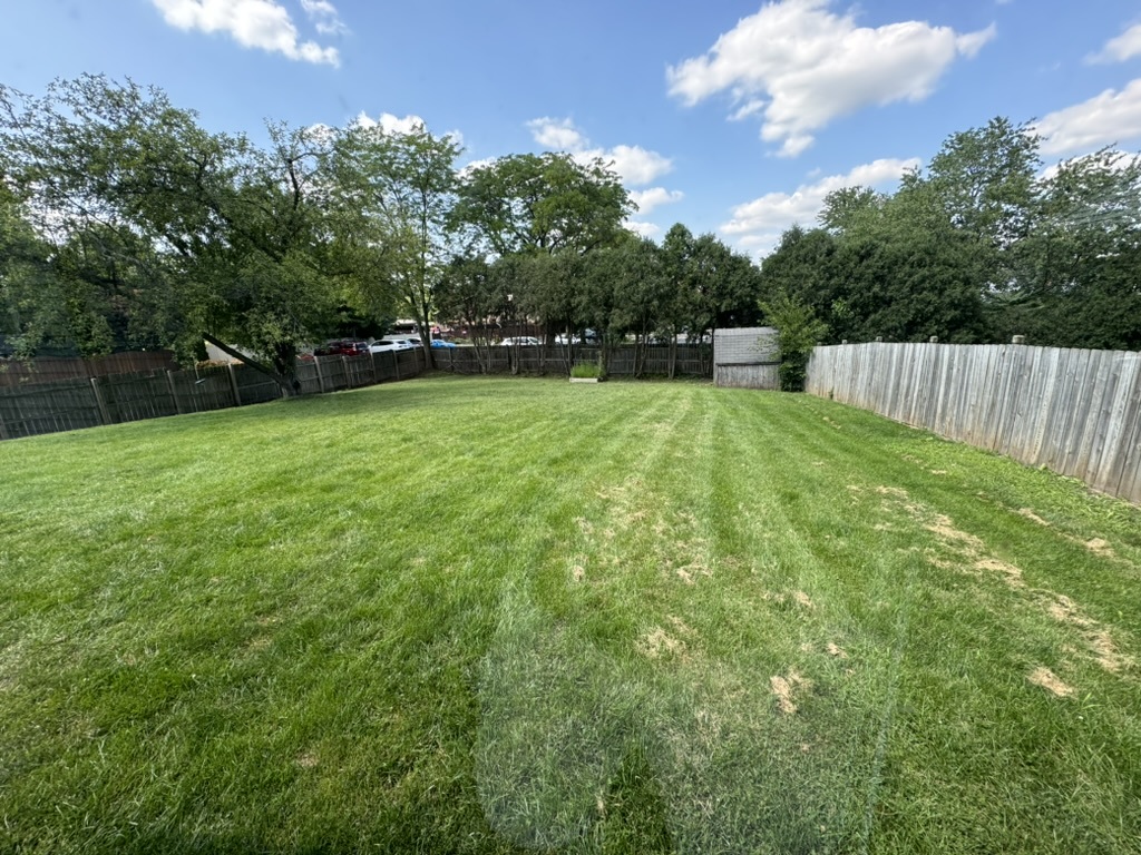 Gallery Image 16