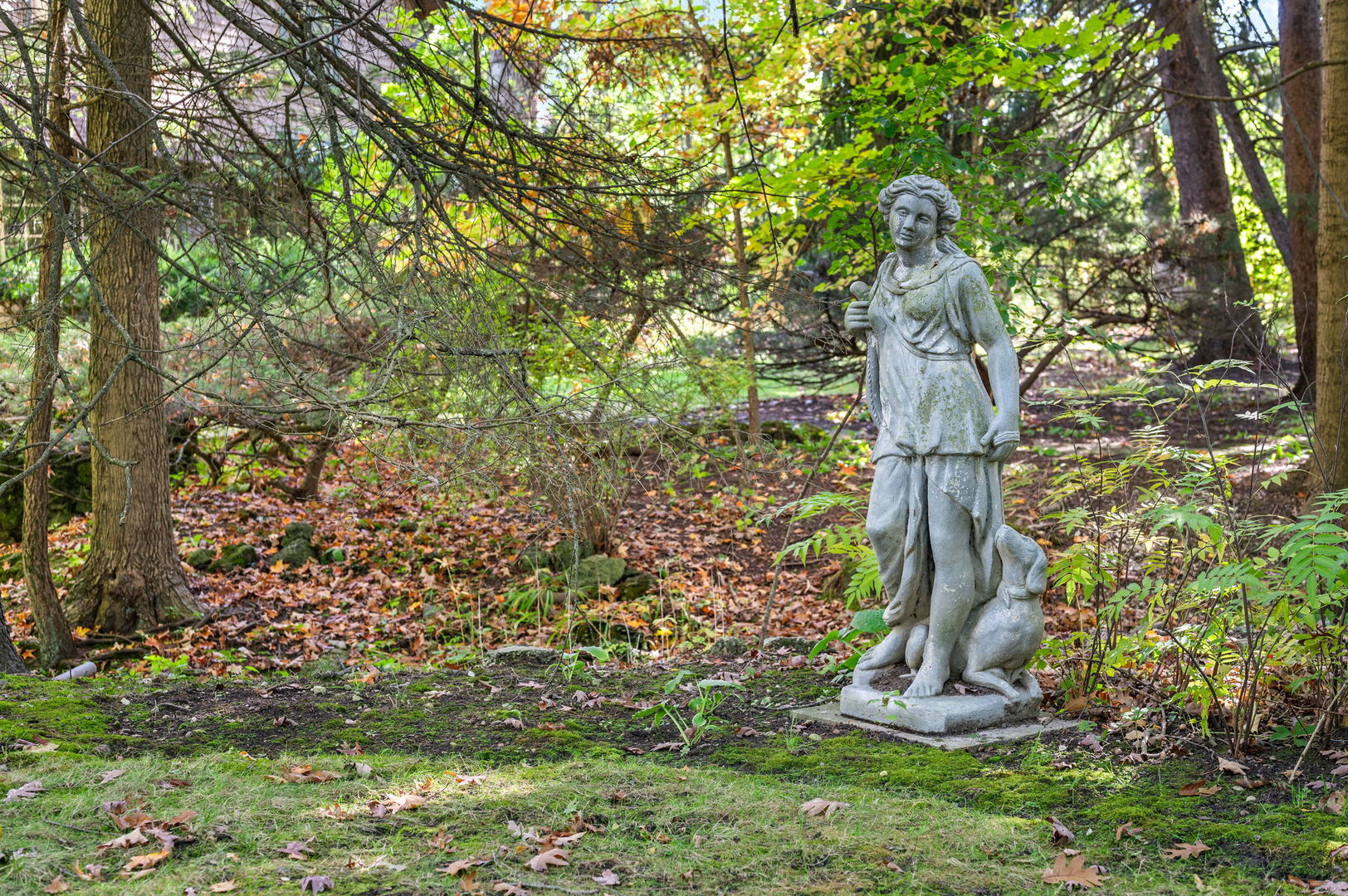 Gallery Image 50