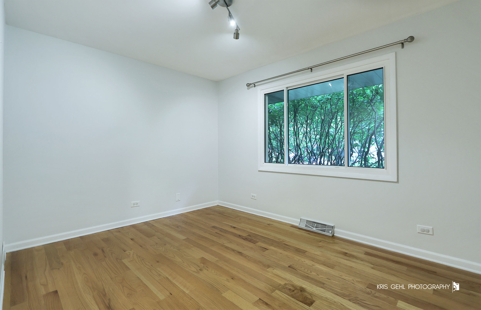 Gallery Image 16