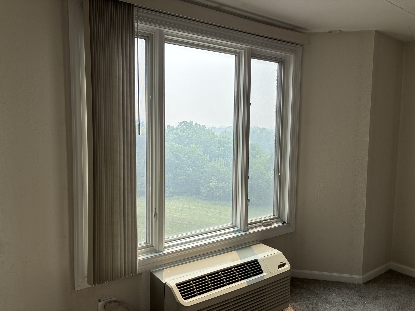 Gallery Image 14