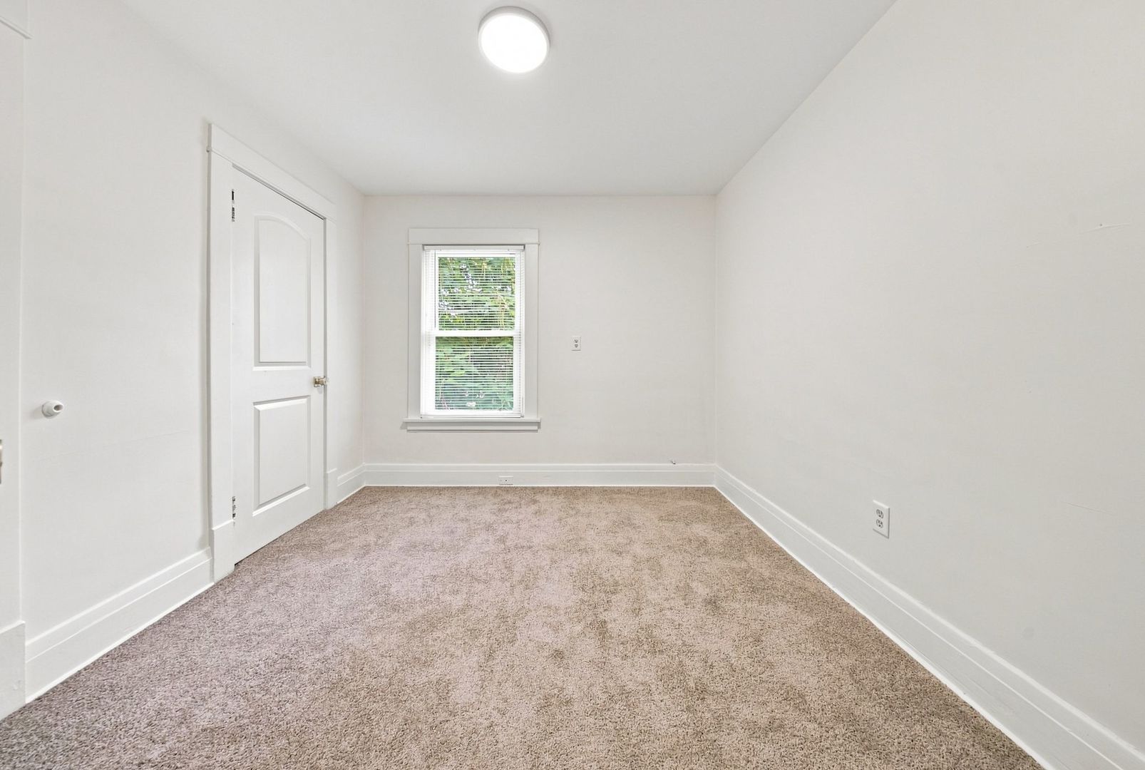 Gallery Image 18