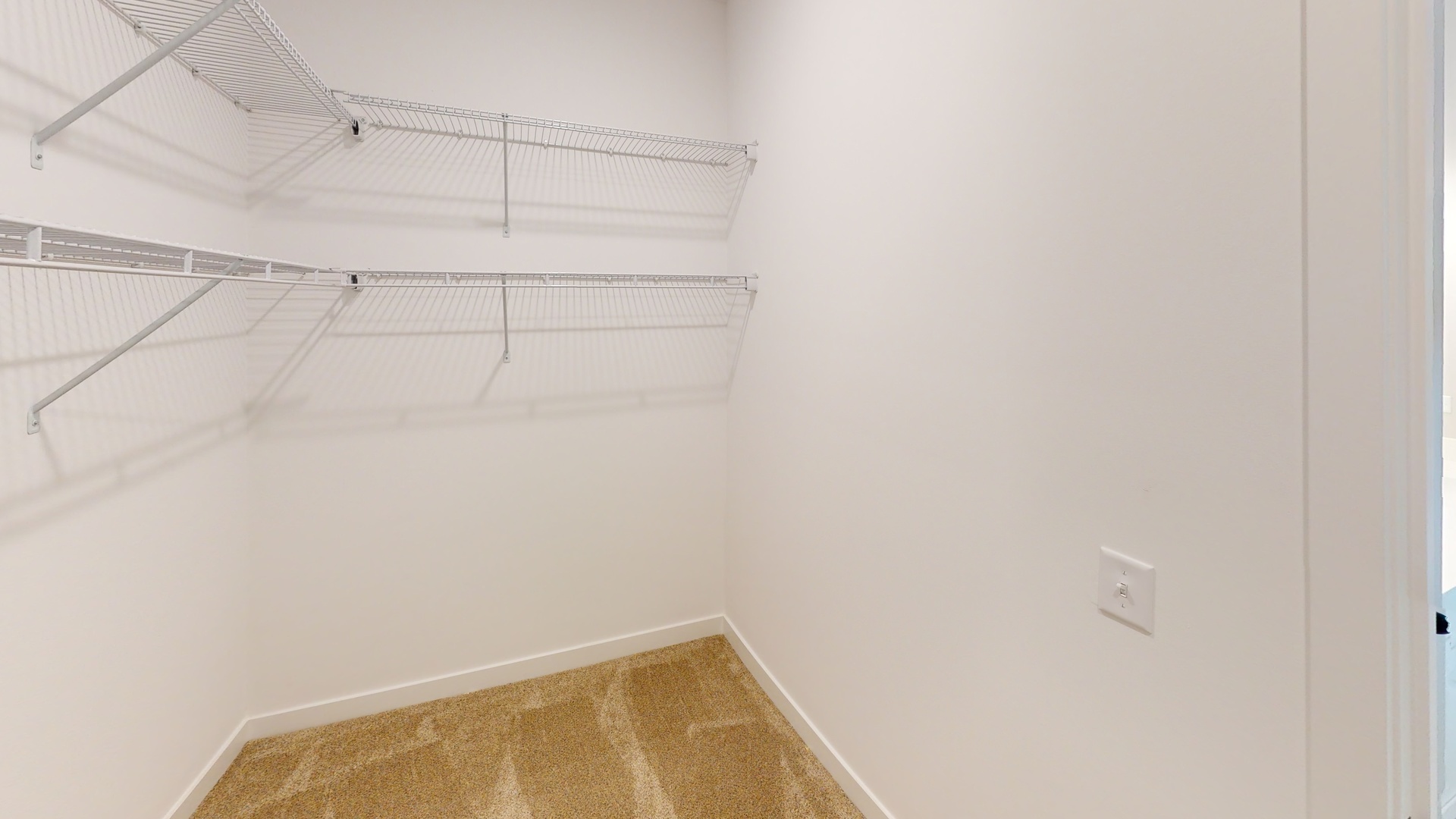 Gallery Image 19