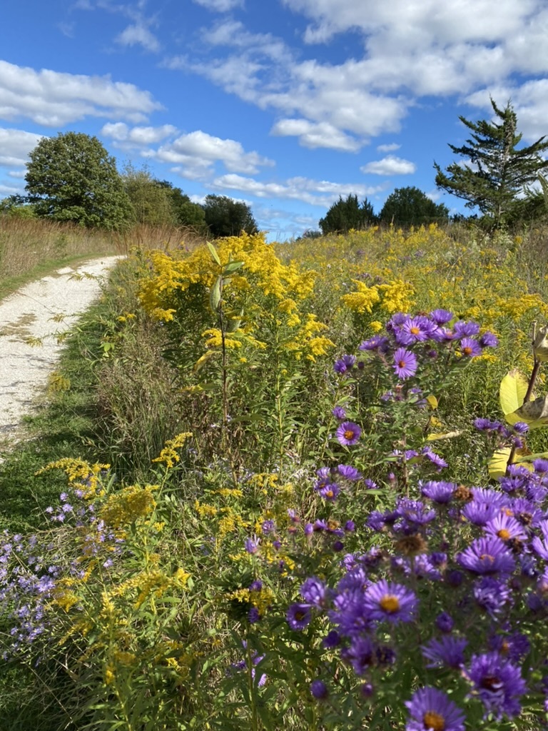 Gallery Image 28