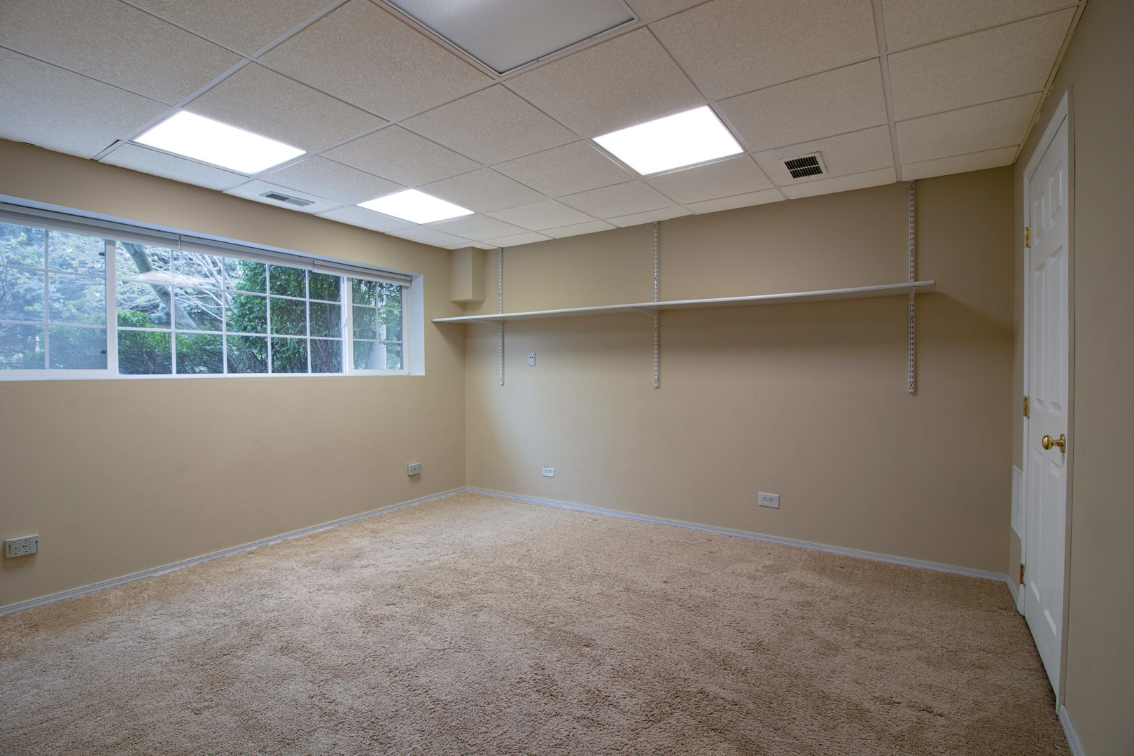 Gallery Image 11
