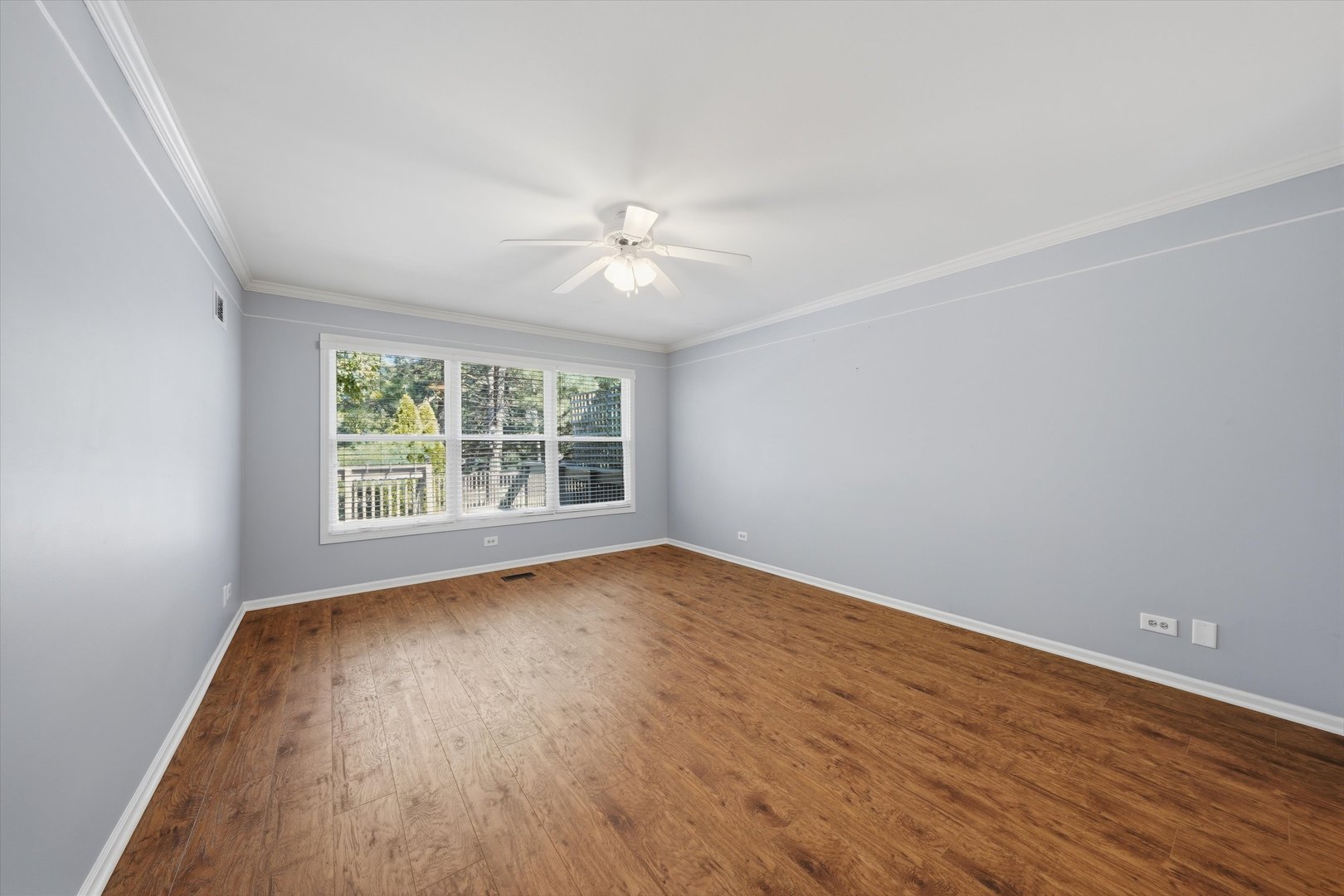 Gallery Image 18