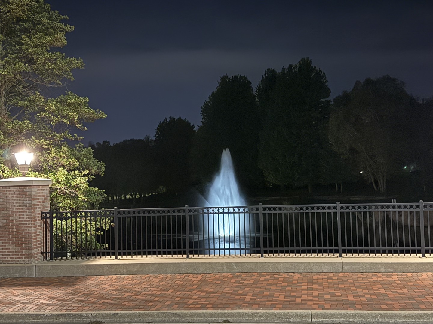 Gallery Image 55