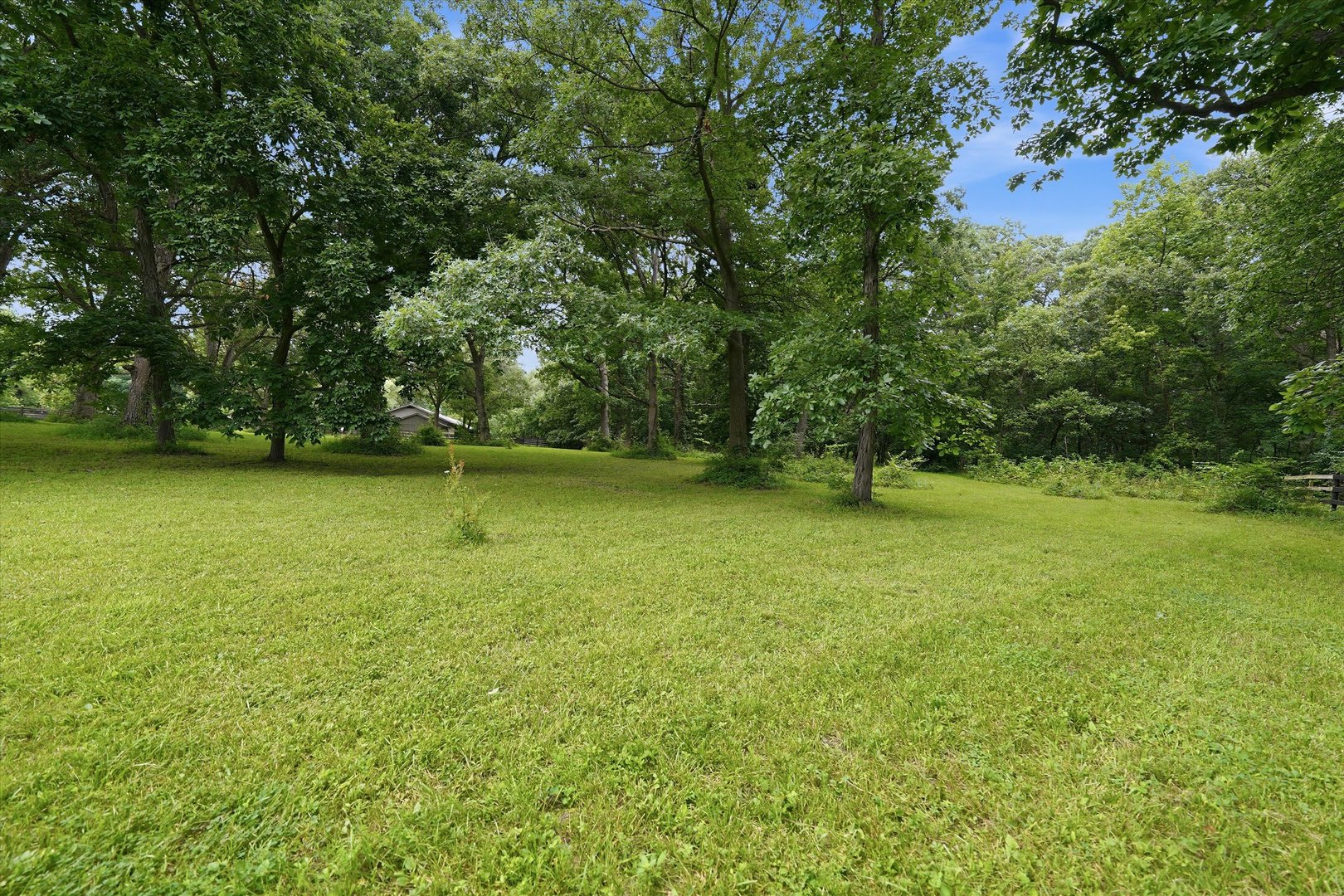 Gallery Image 68