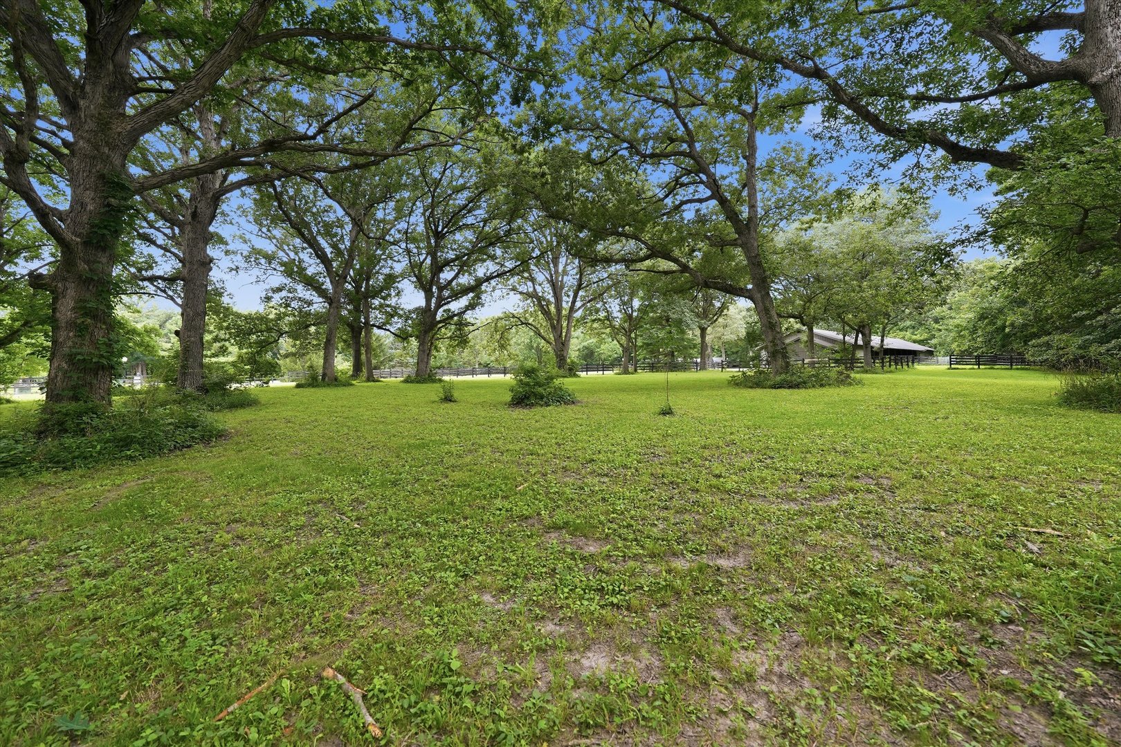 Gallery Image 69