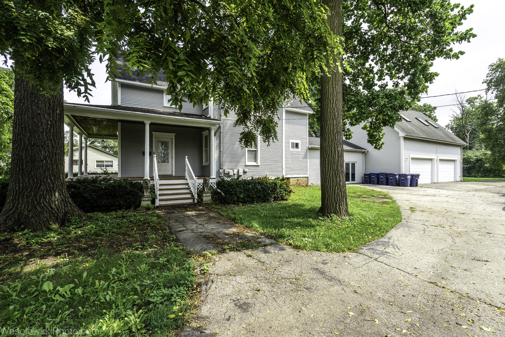 Gallery Image 59