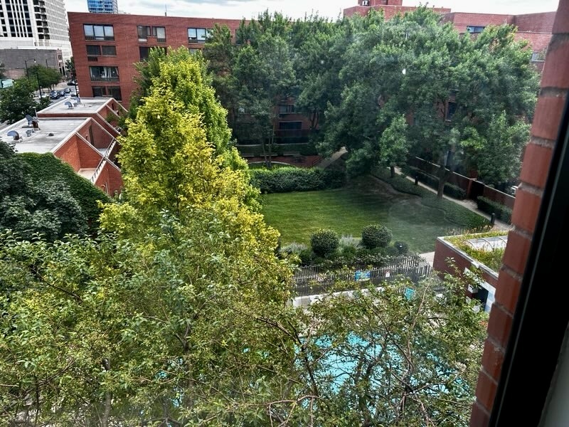 Gallery Image 17