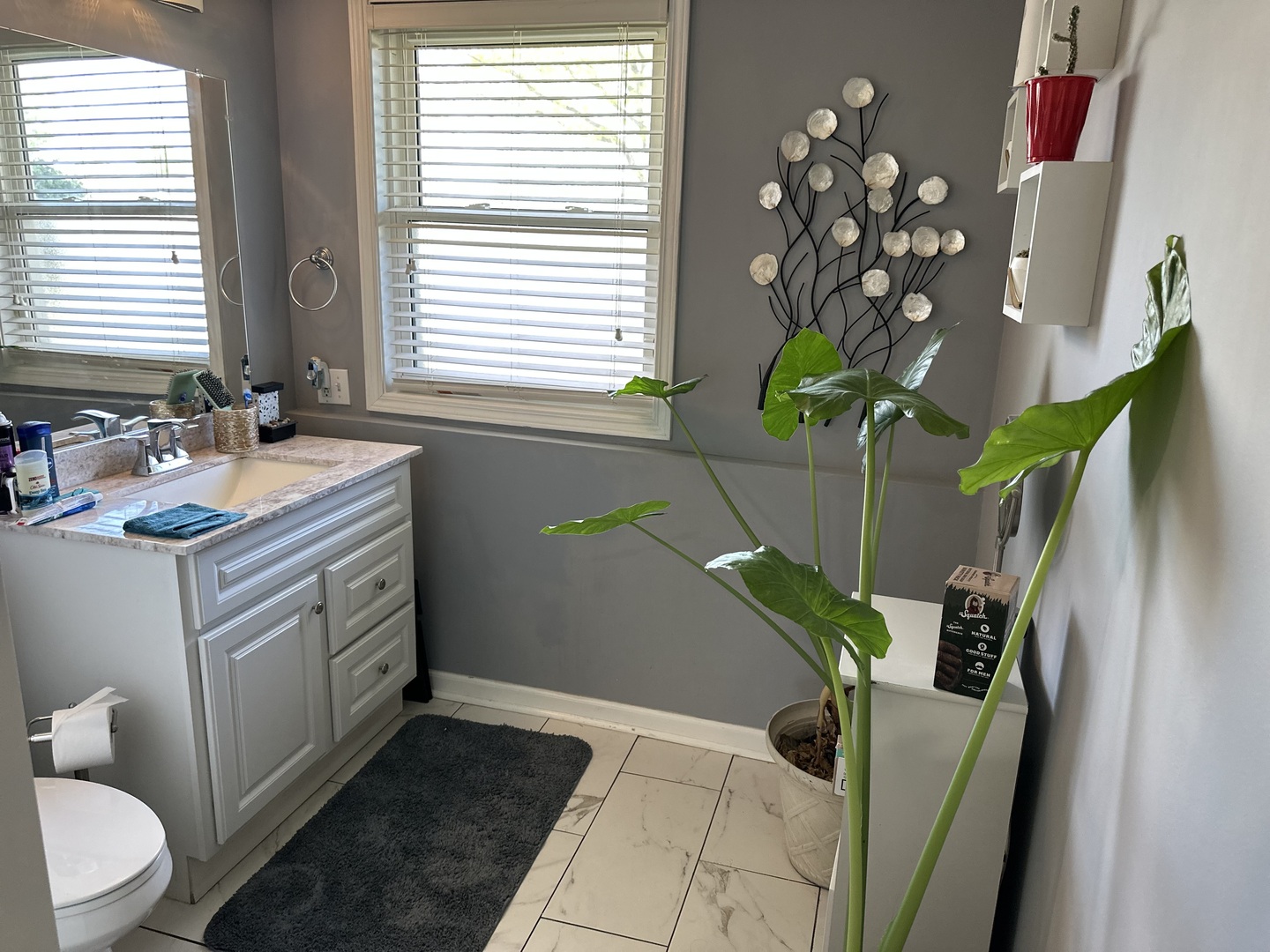 Gallery Image 13