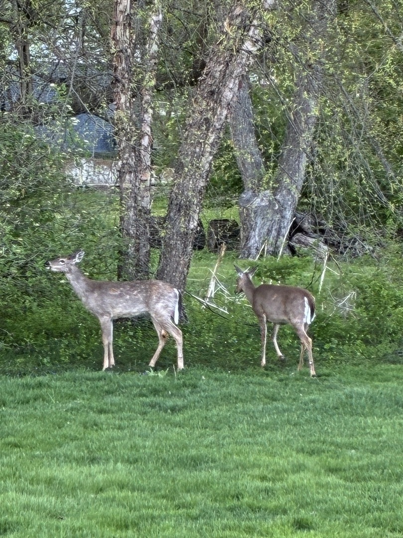 Gallery Image 54