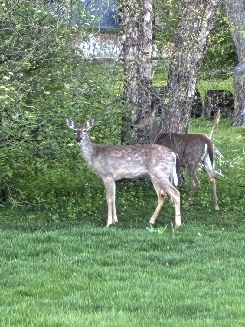 Gallery Image 55