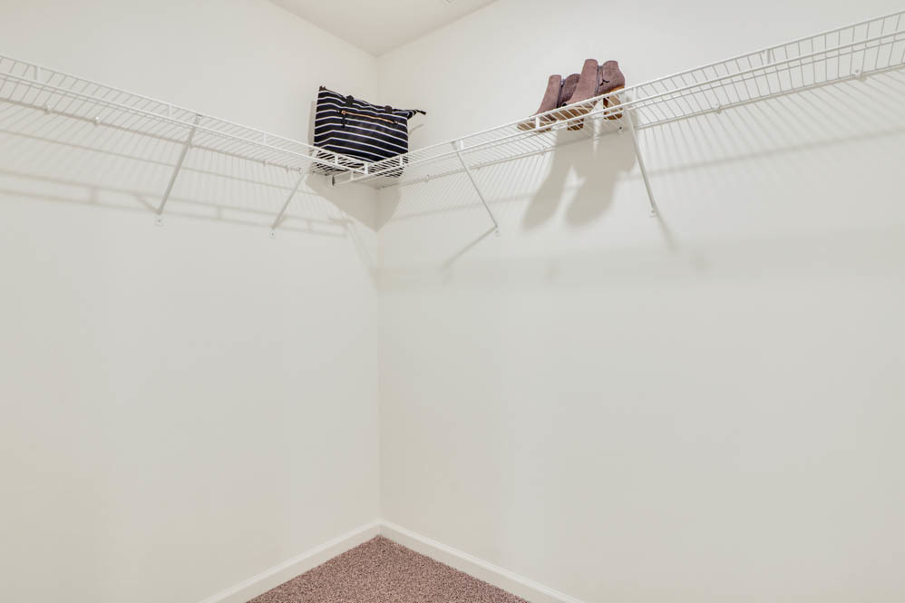 Gallery Image 20