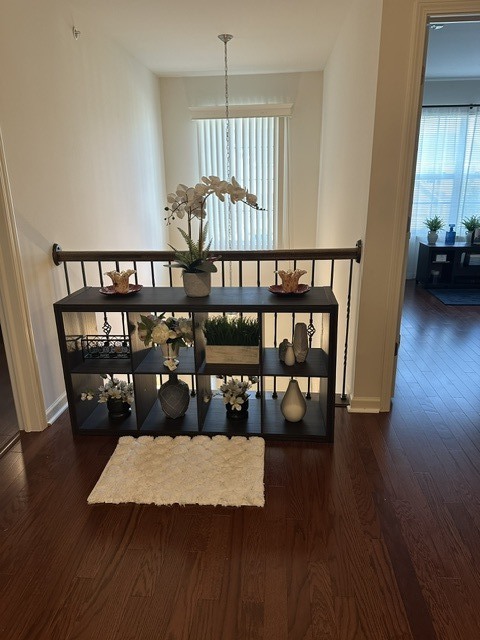 Gallery Image 19