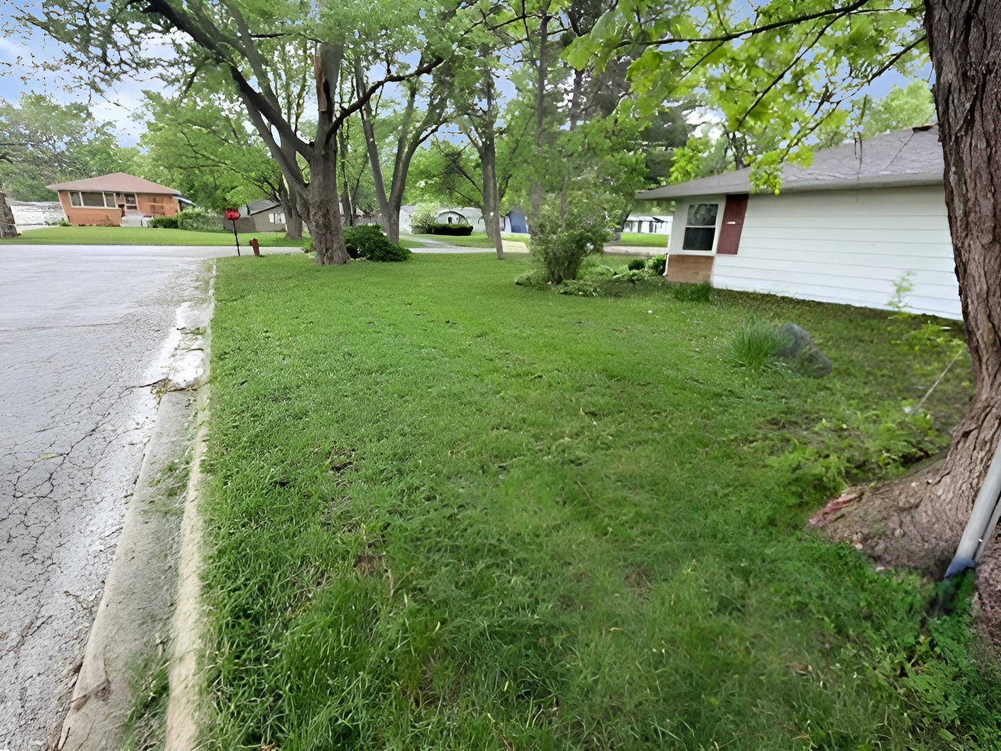 Gallery Image 19