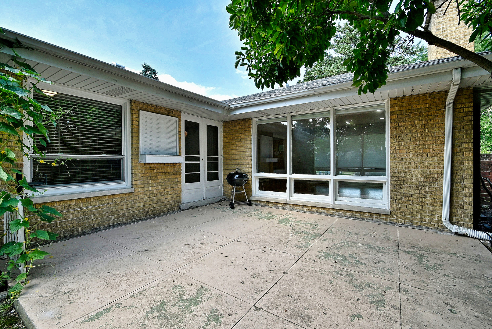 Gallery Image 38