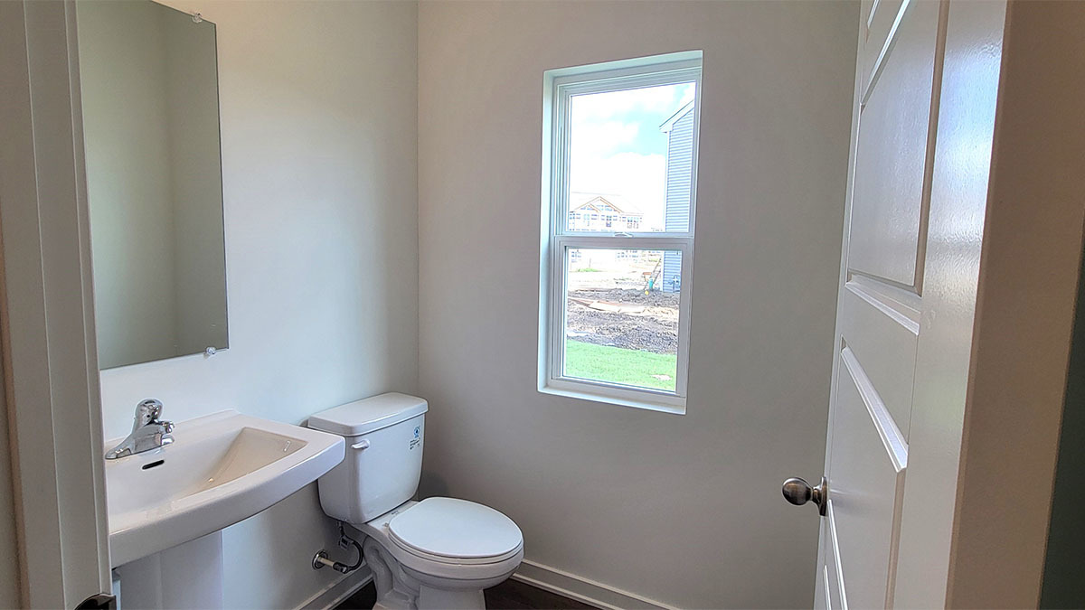 Gallery Image 11