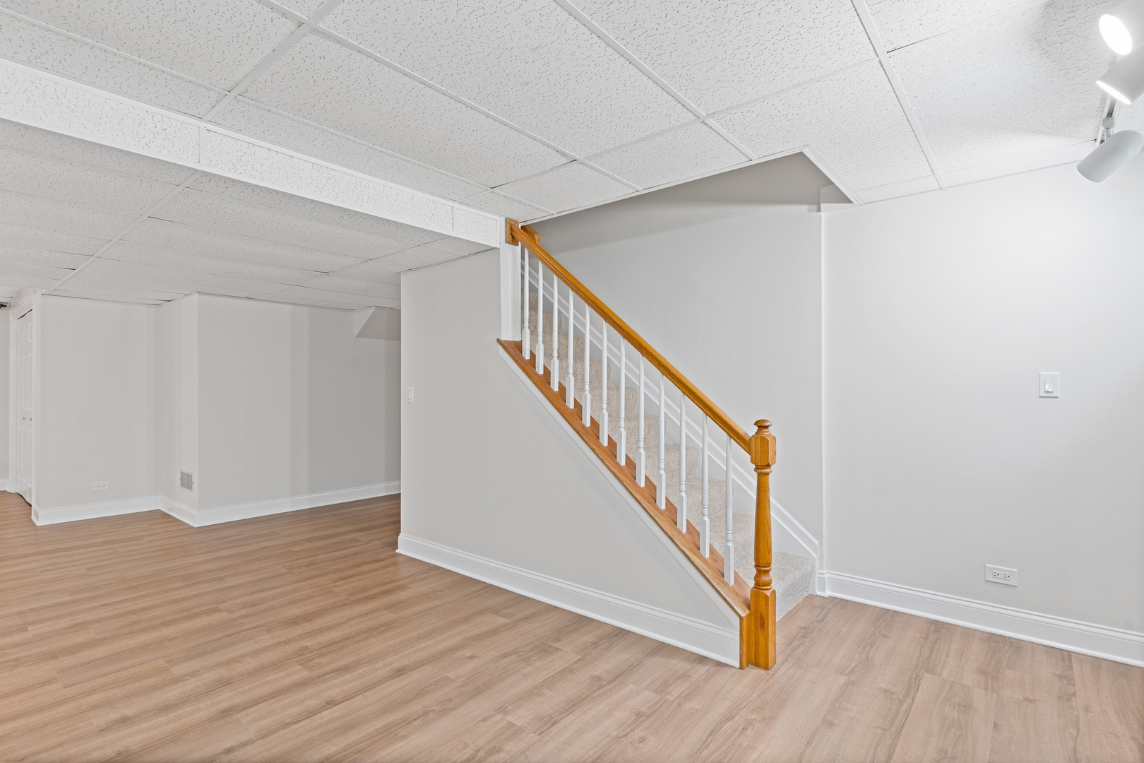 Gallery Image 53