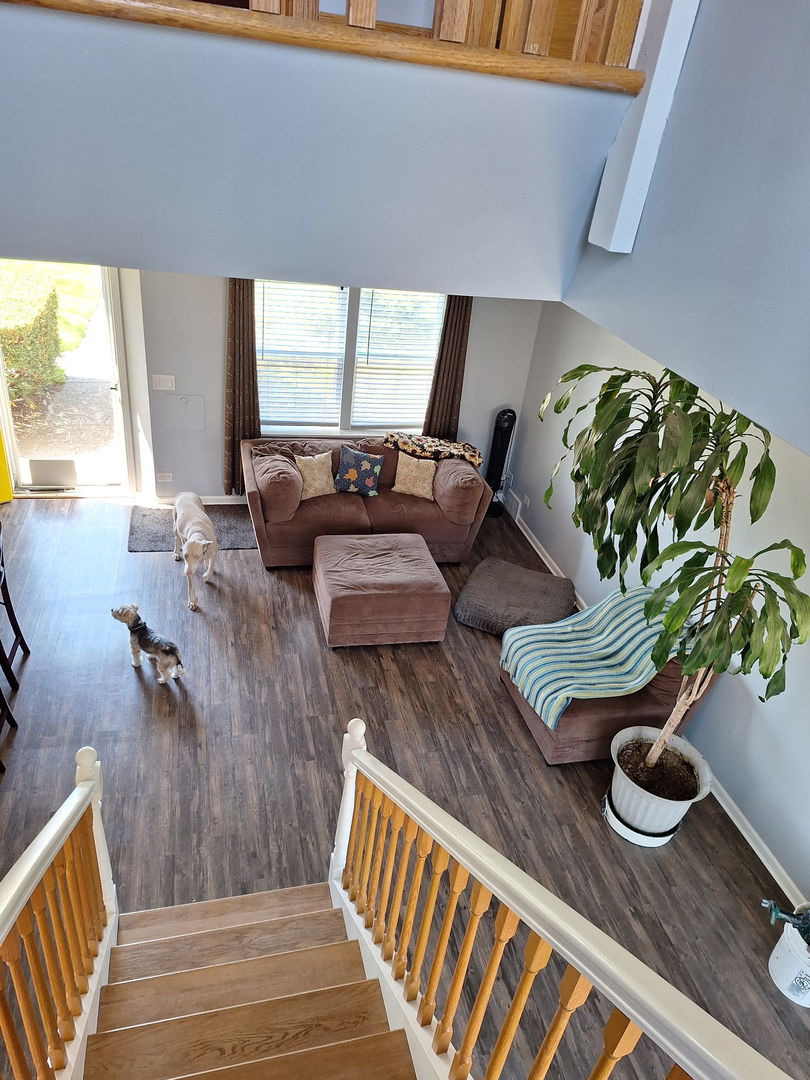 Gallery Image 12