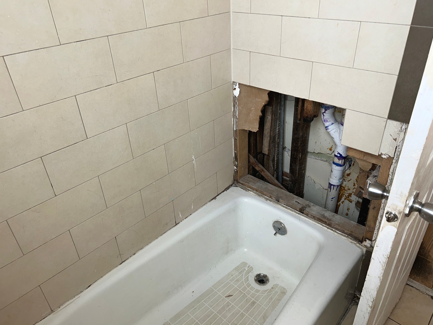 Gallery Image 11