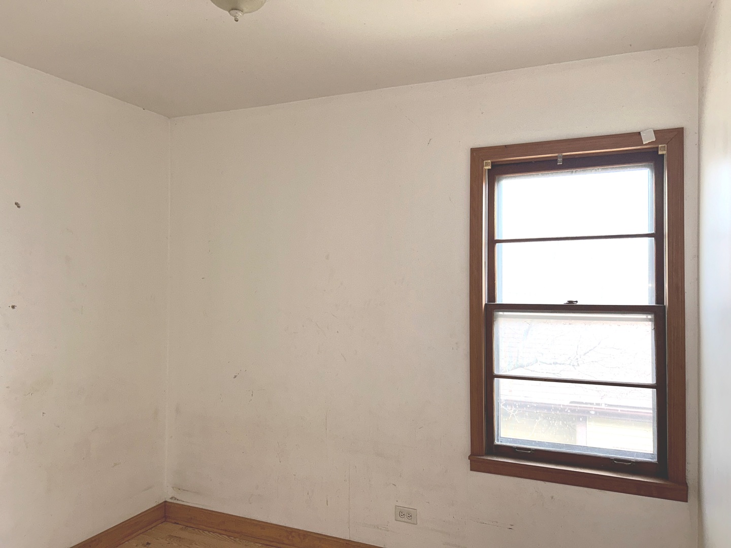 Gallery Image 19