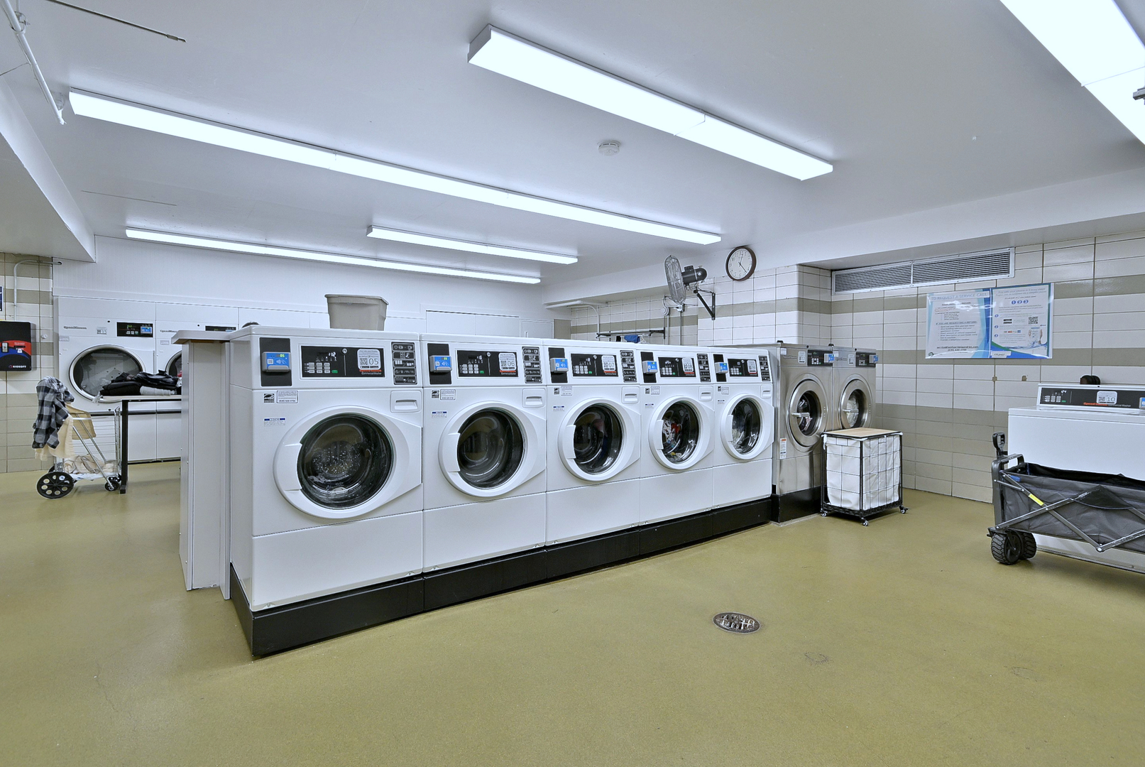 Gallery Image 13