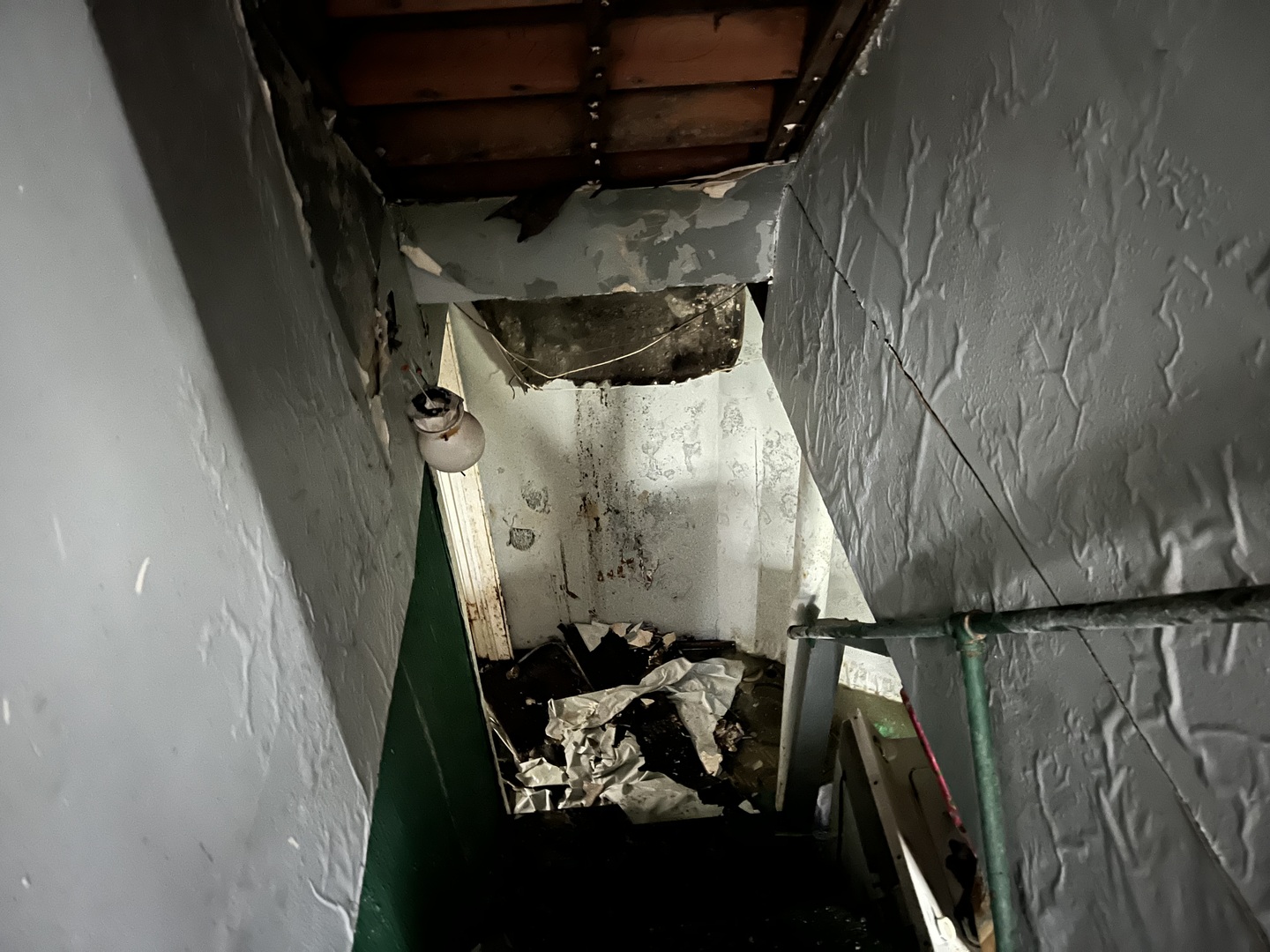 Gallery Image 16