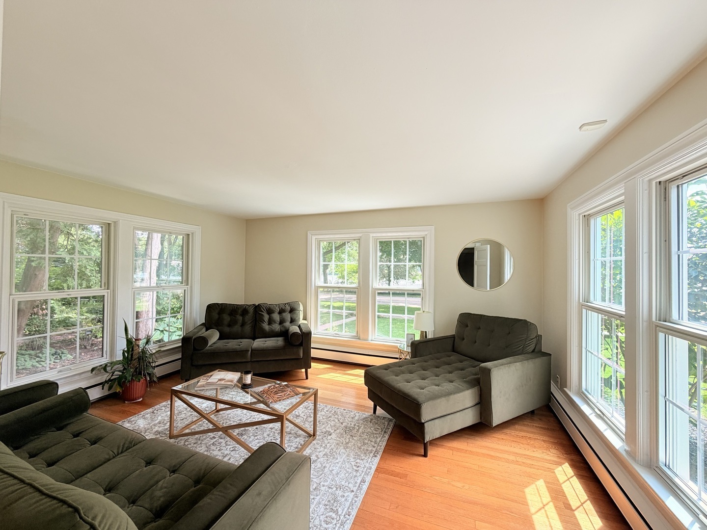 Gallery Image 8