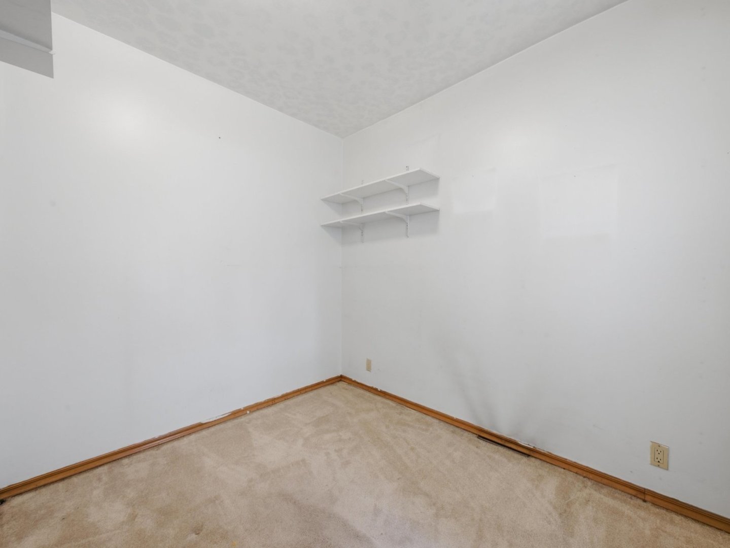 Gallery Image 22