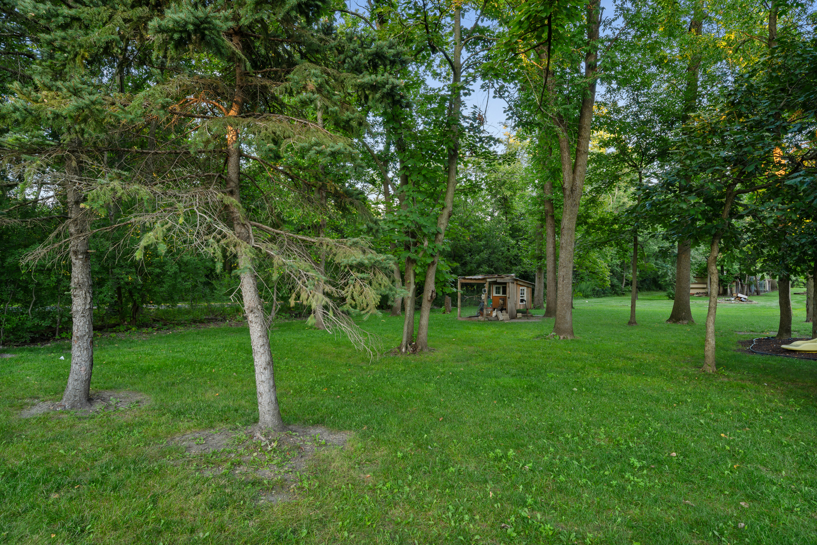 Gallery Image 29