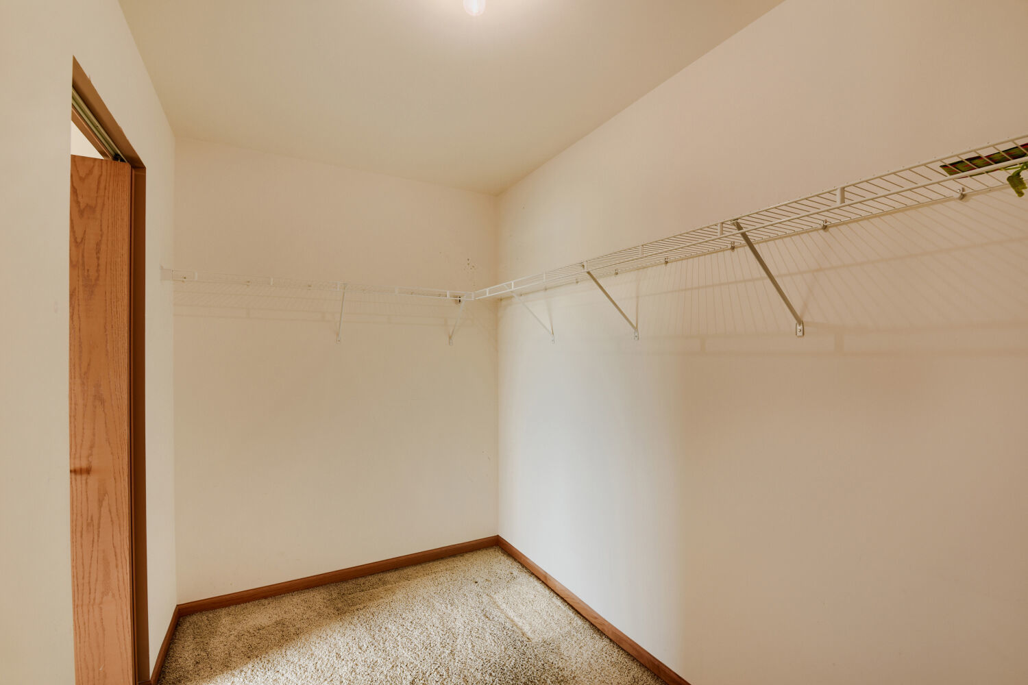 Gallery Image 21