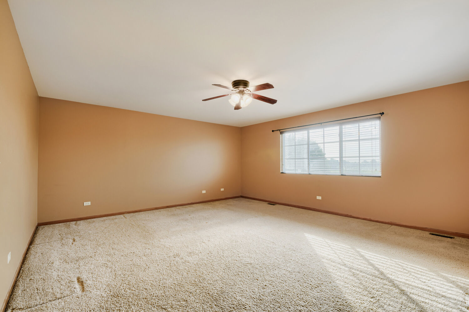 Gallery Image 19