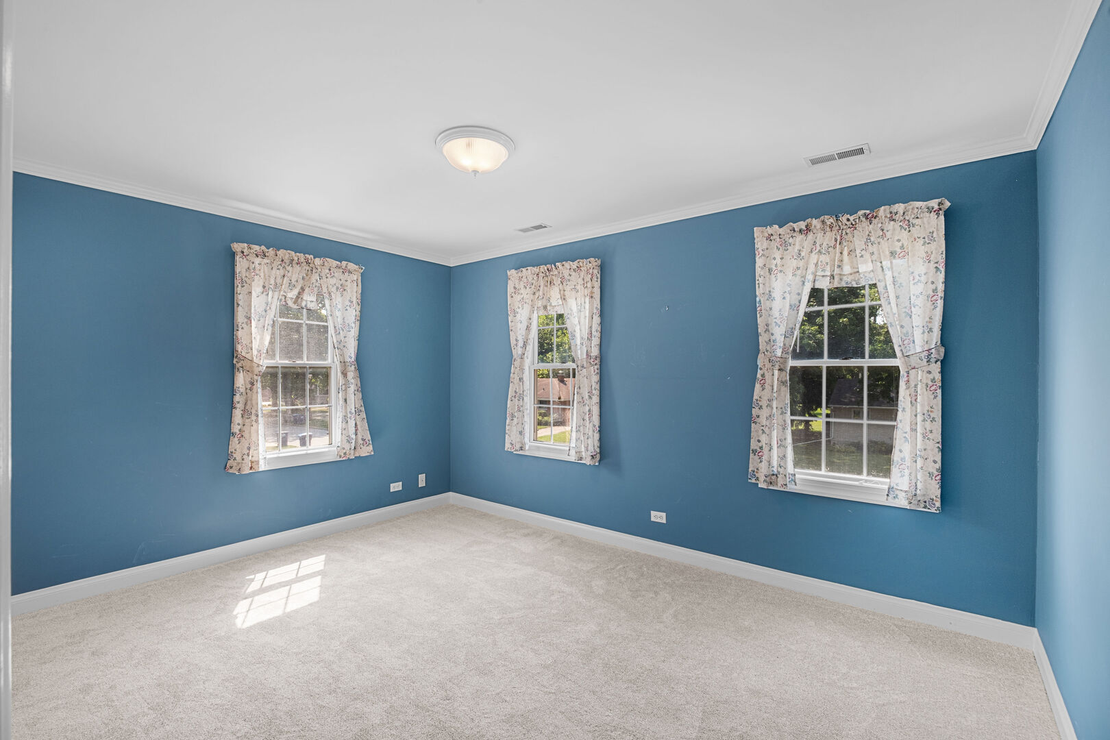 Gallery Image 18