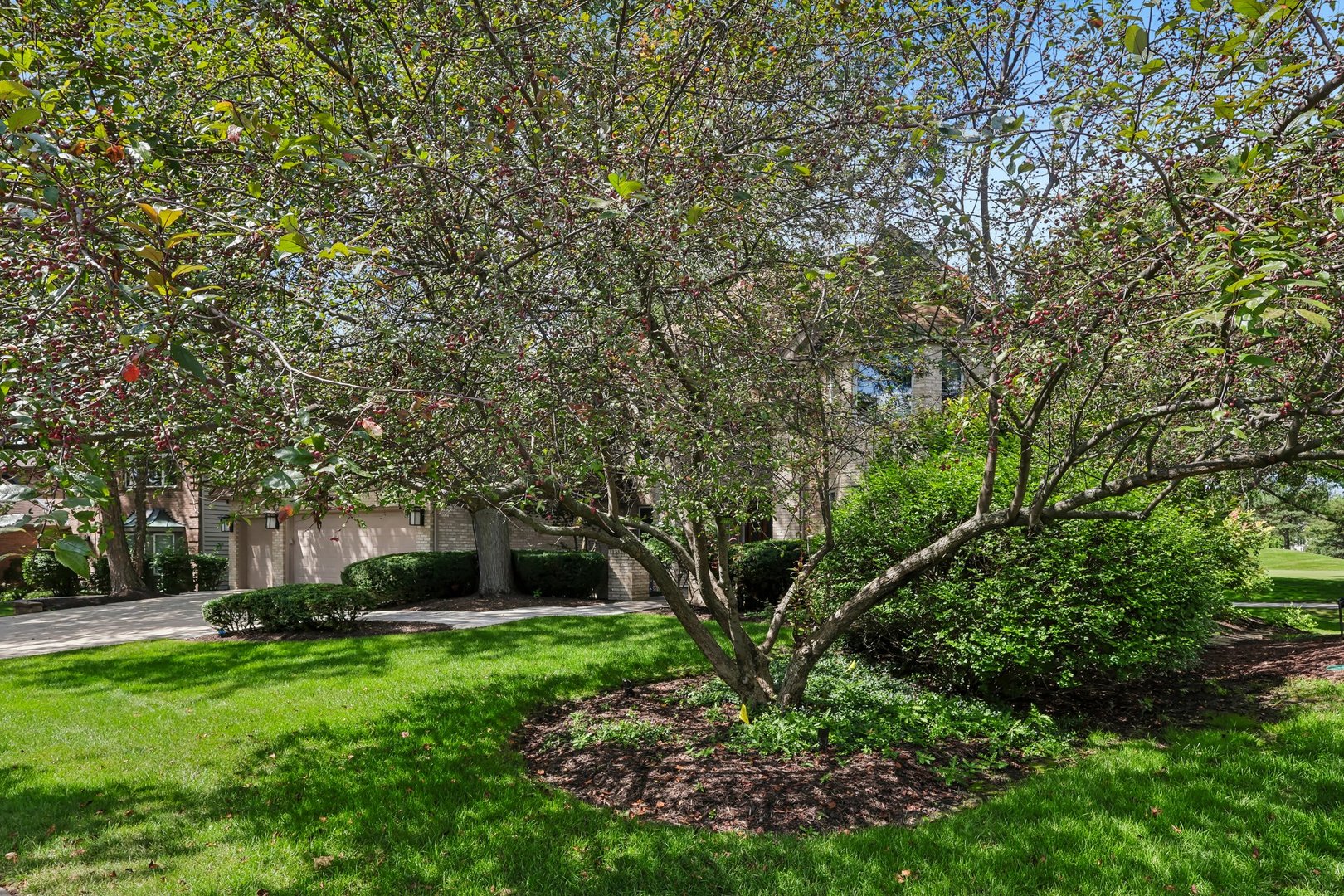 Gallery Image 60