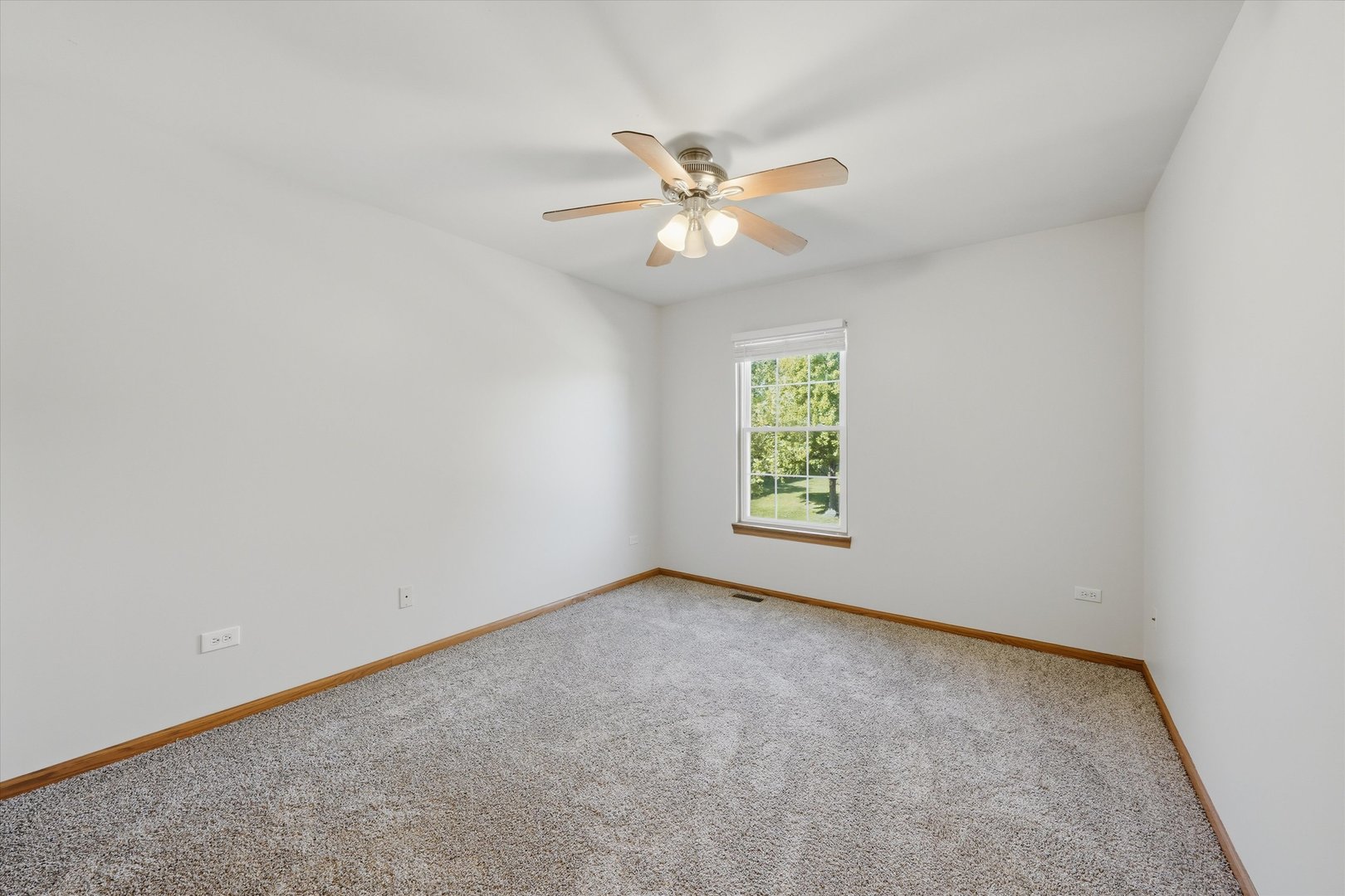Gallery Image 18