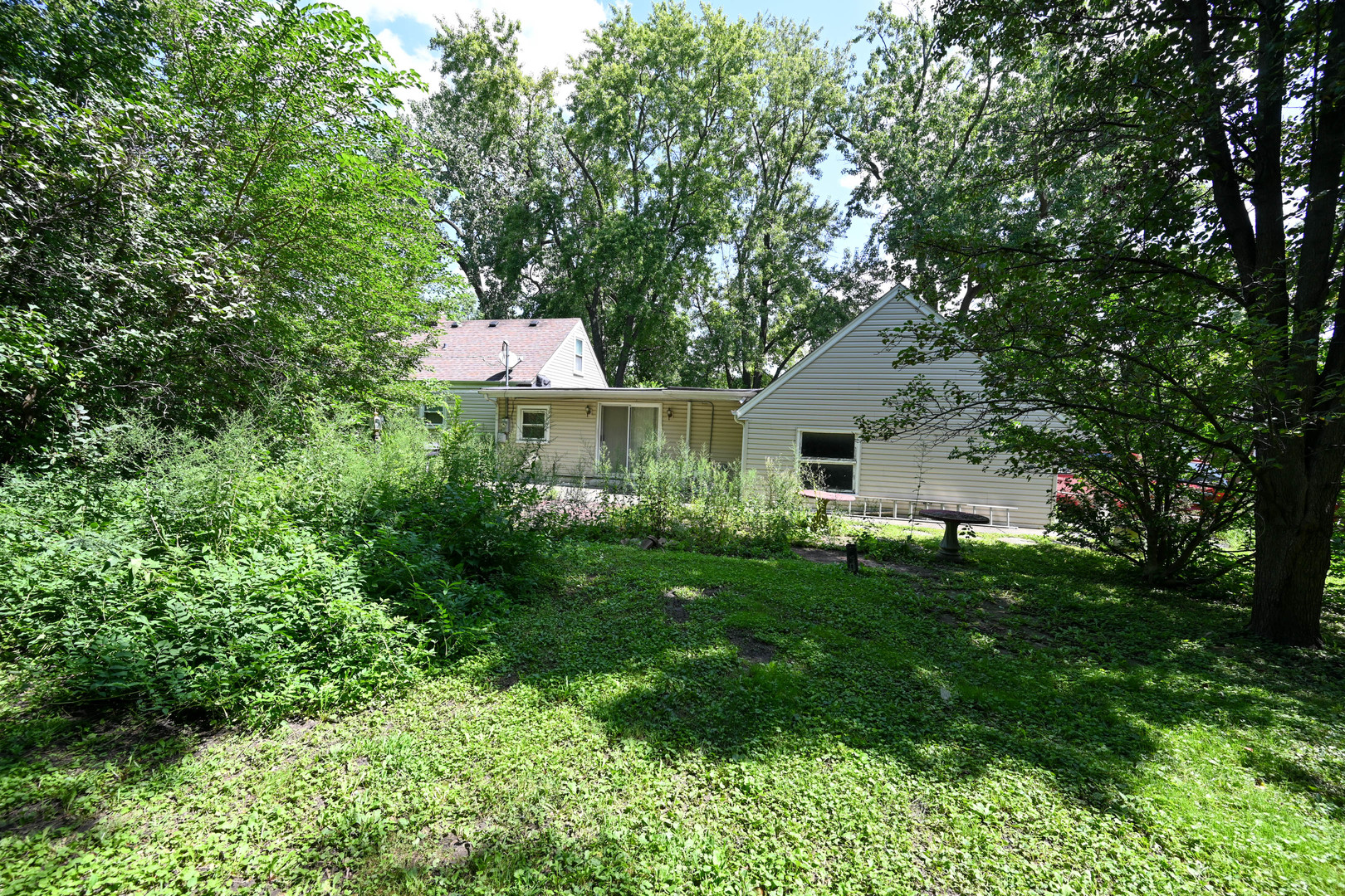 Gallery Image 8