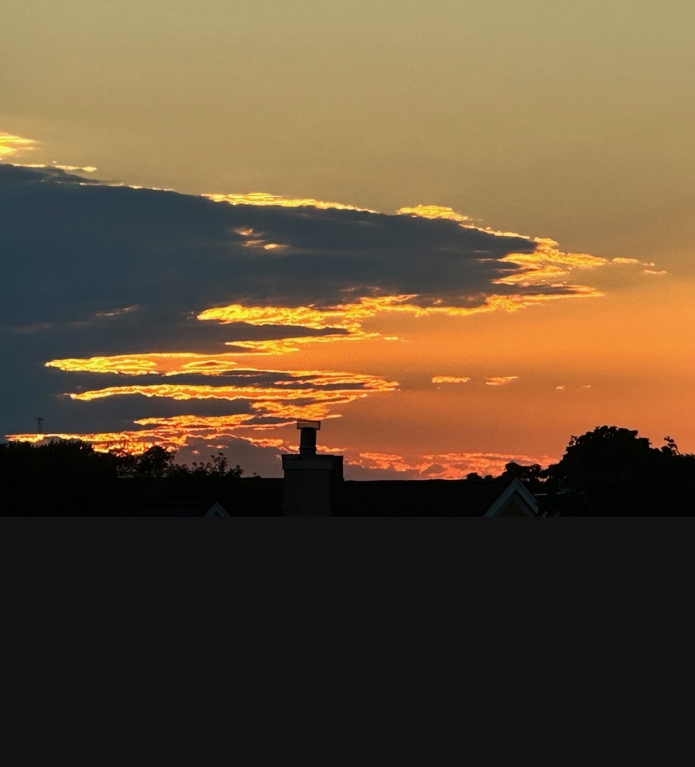 Gallery Image 28
