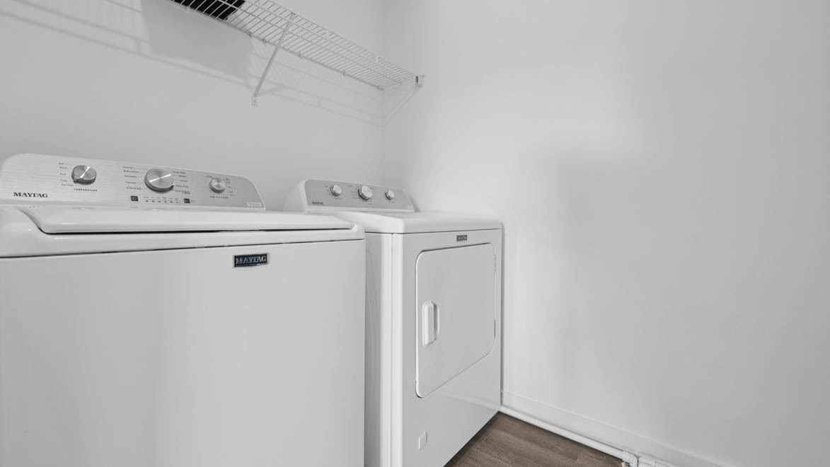 Gallery Image 16