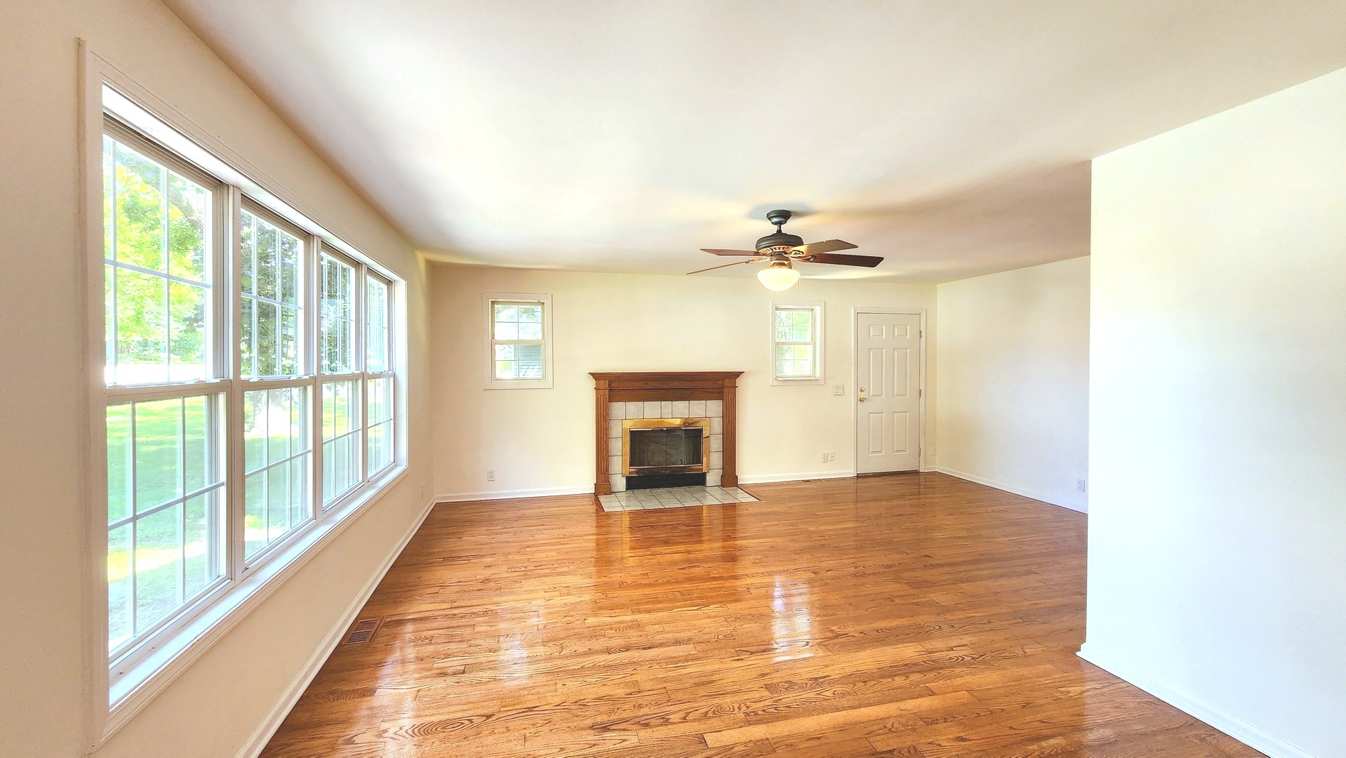 Gallery Image 12
