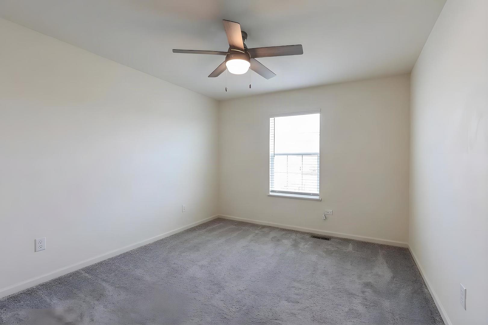Gallery Image 18