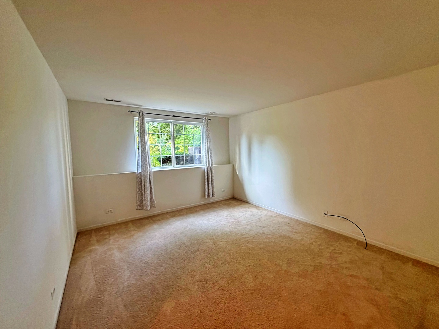 Gallery Image 16