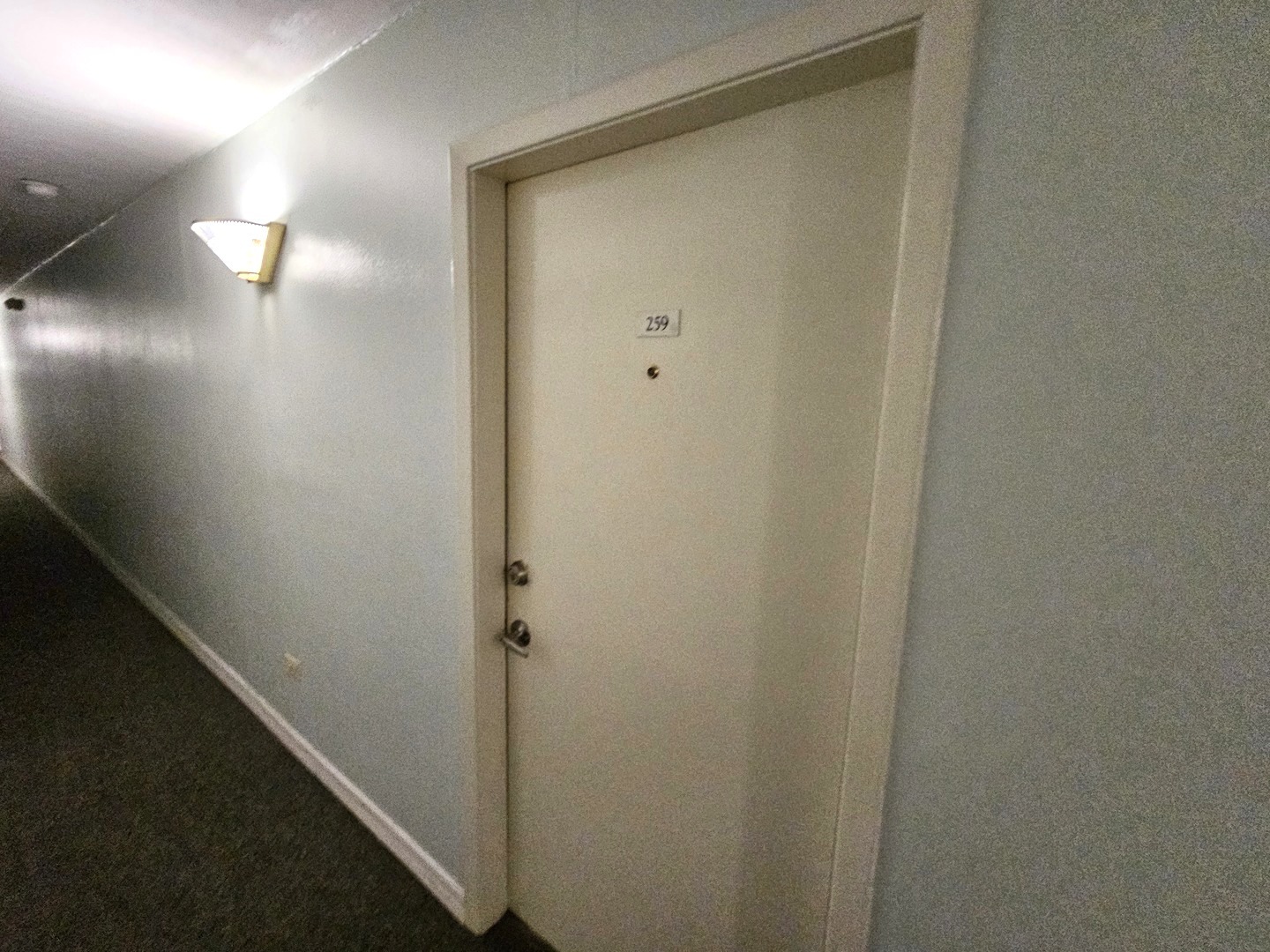 Gallery Image 7