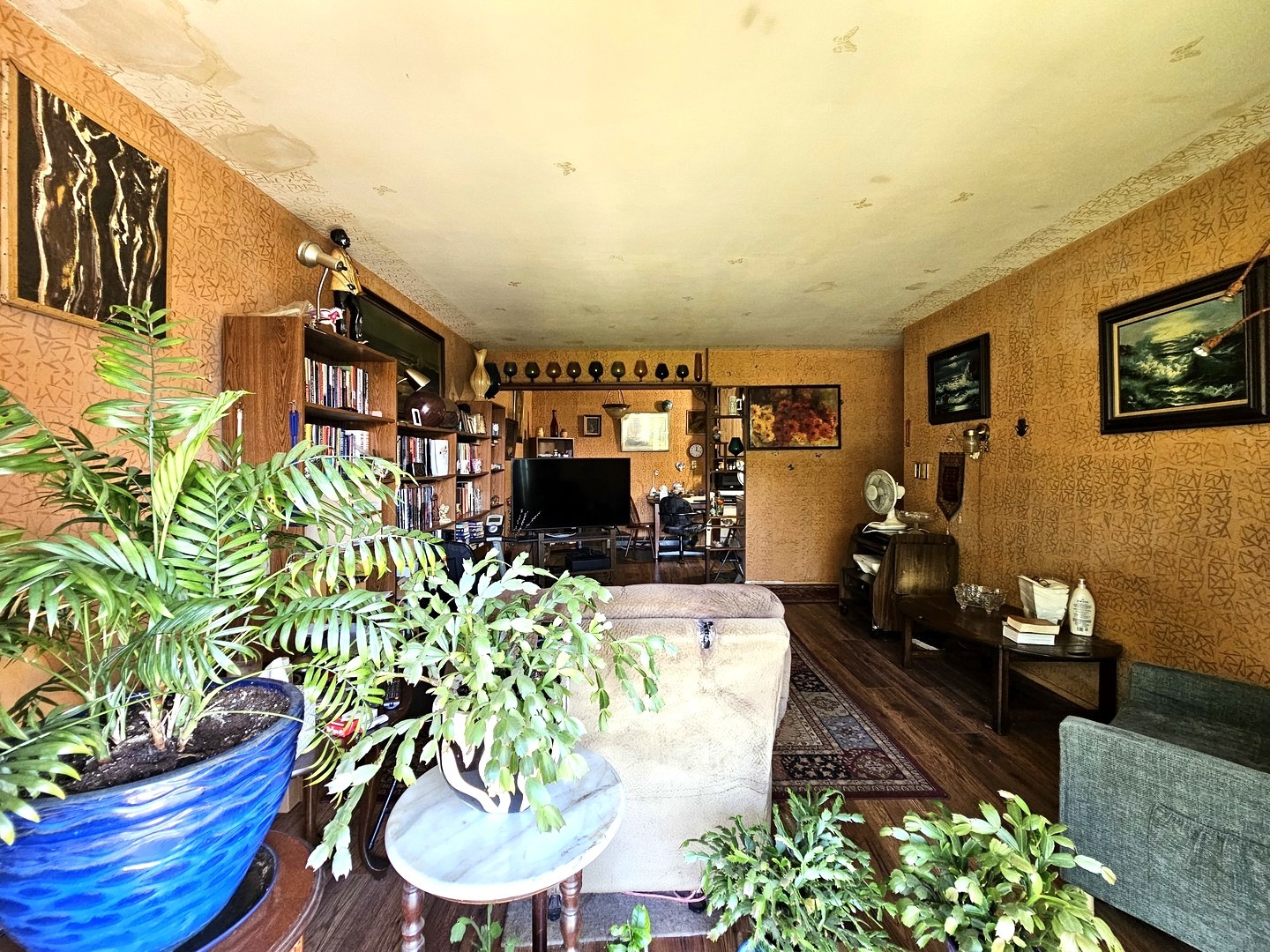Gallery Image 15